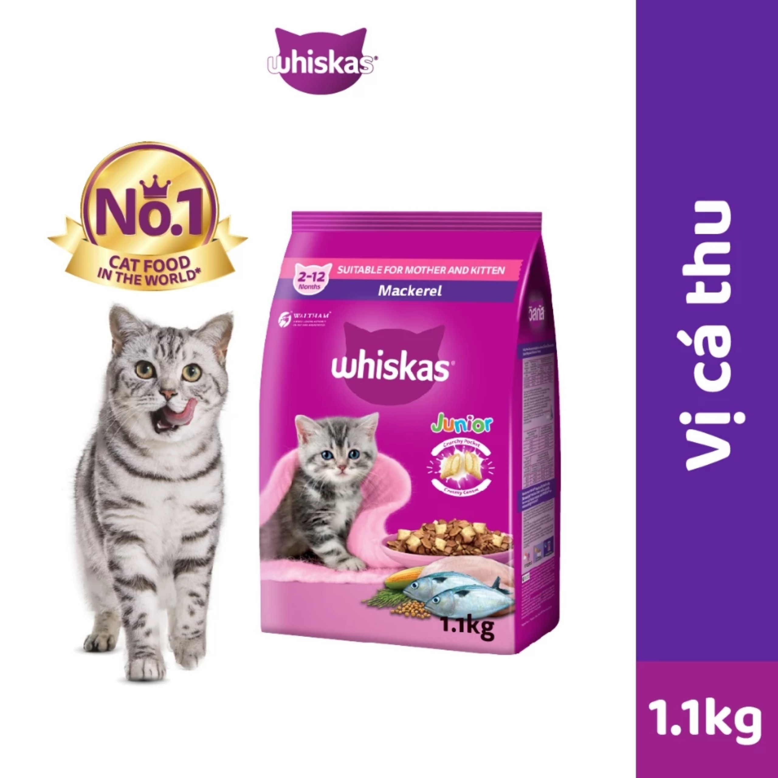 Hạt thức ăn khô cho mèo WHISKAS từ 2 tháng tuổi