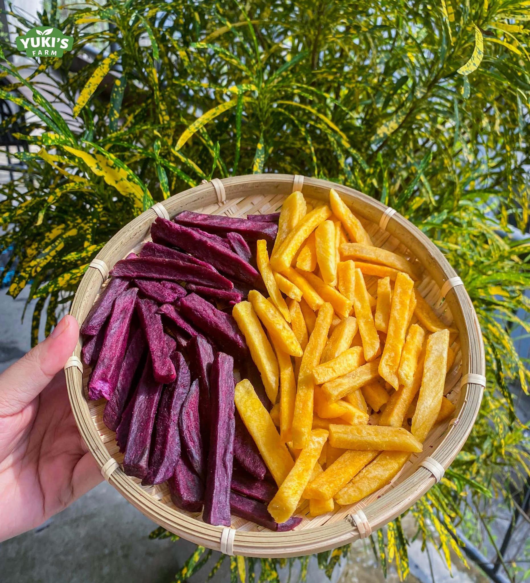 Khoai lang tím sấy giòn One Tot 250g