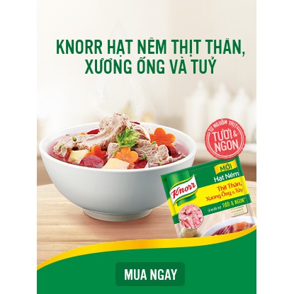 Combo 2 gói hạt nêm Knorr 400g mới .