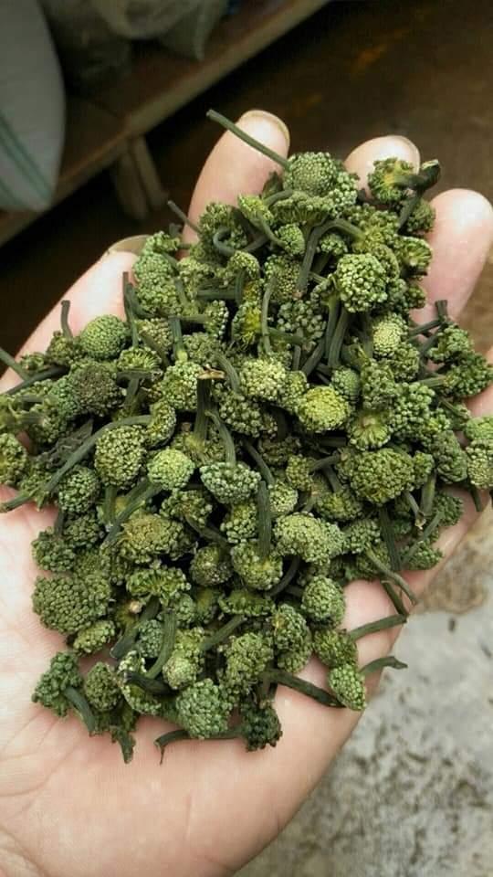 Nụ hoa tam thất bao tử 500gr