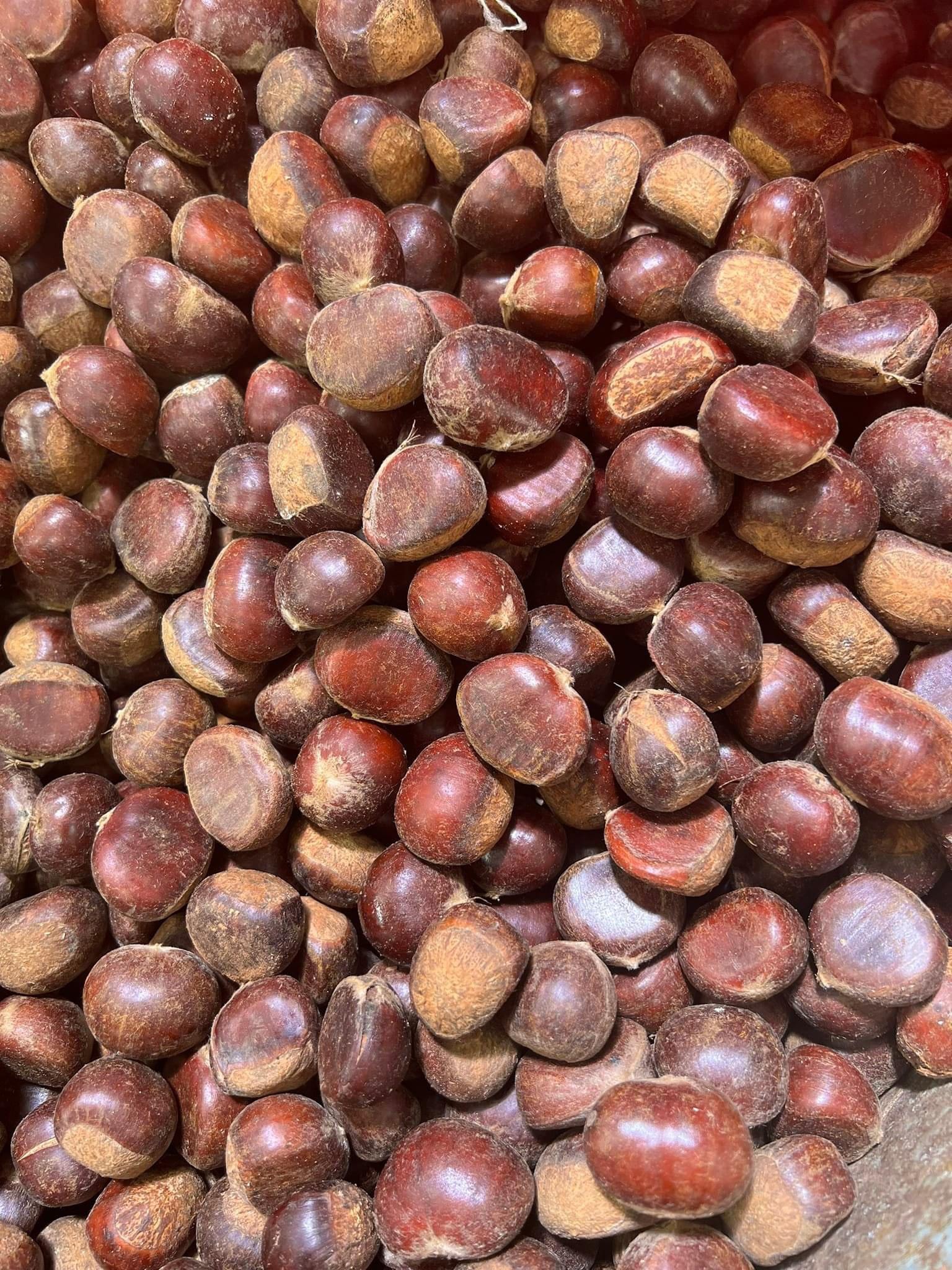 (HÀNG NGON) - 1KG HẠT DẺ sống - cơm vàng bở thơm ngon