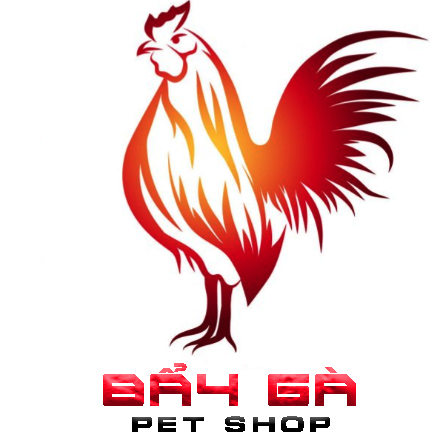 VITAMIN rau củ cho gà đá