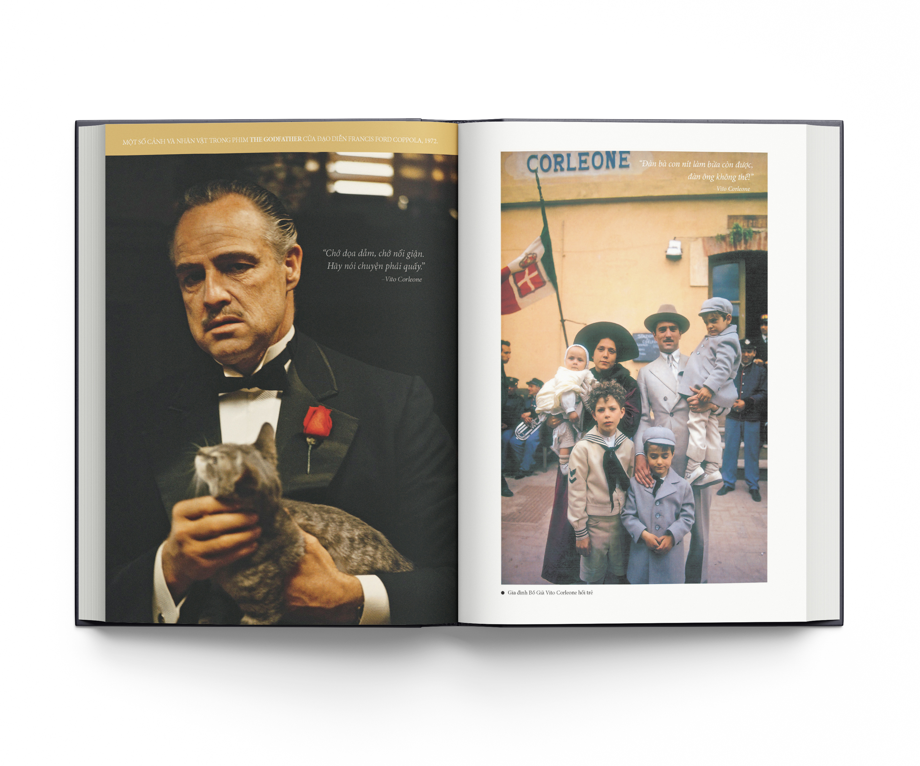 Carp - the Godfather (Hardcover)