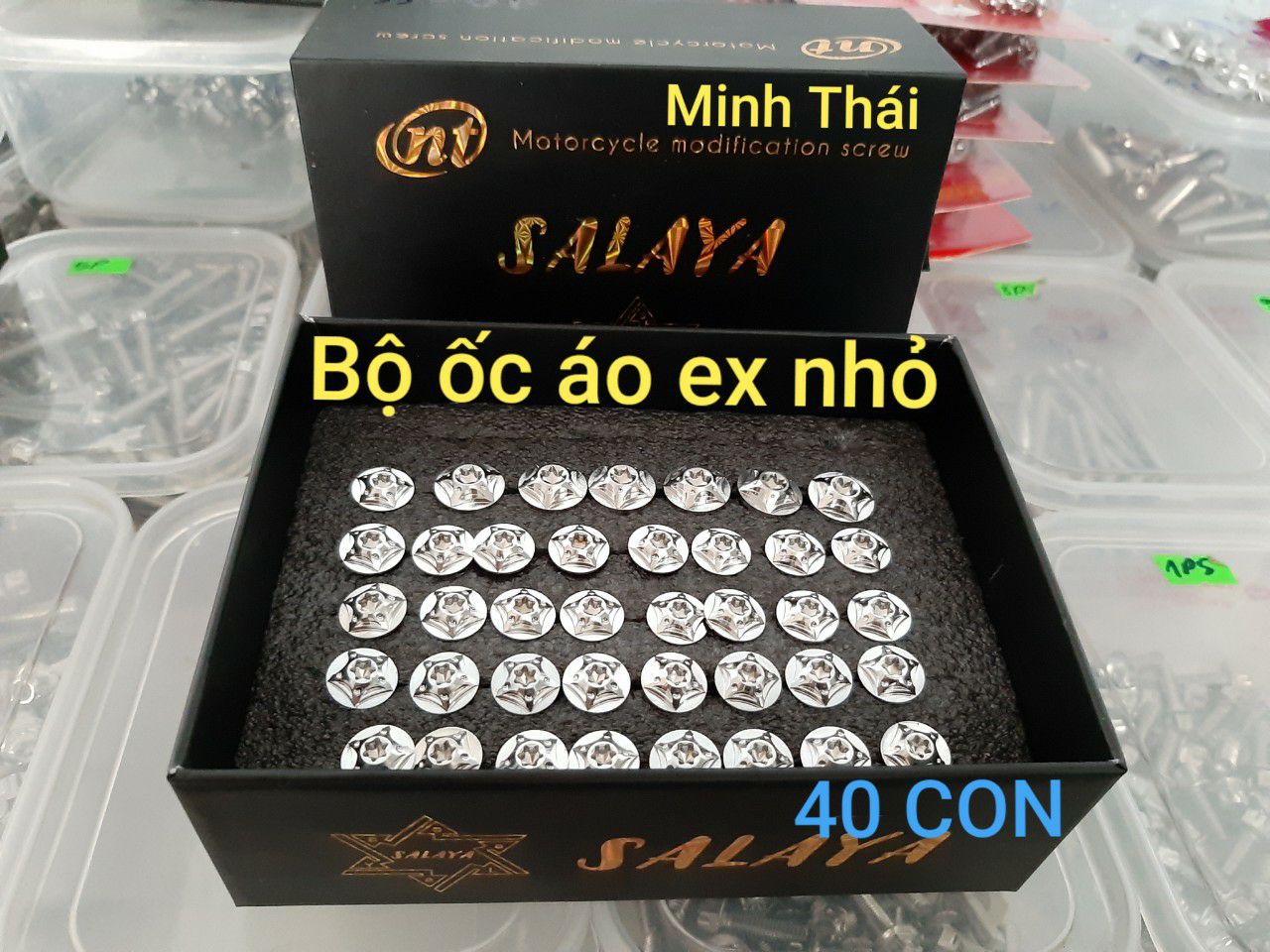 [HCM]ốc áo salaya ex nhỏ