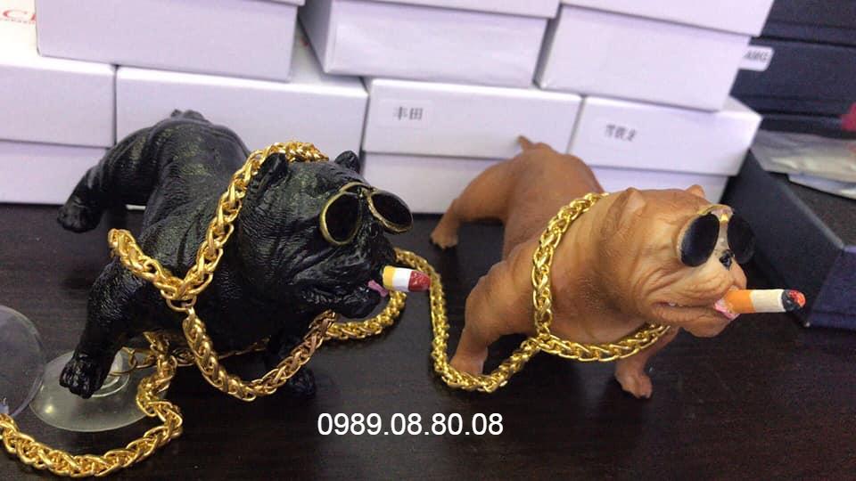 Chó pitpull đặt taplo ô tô