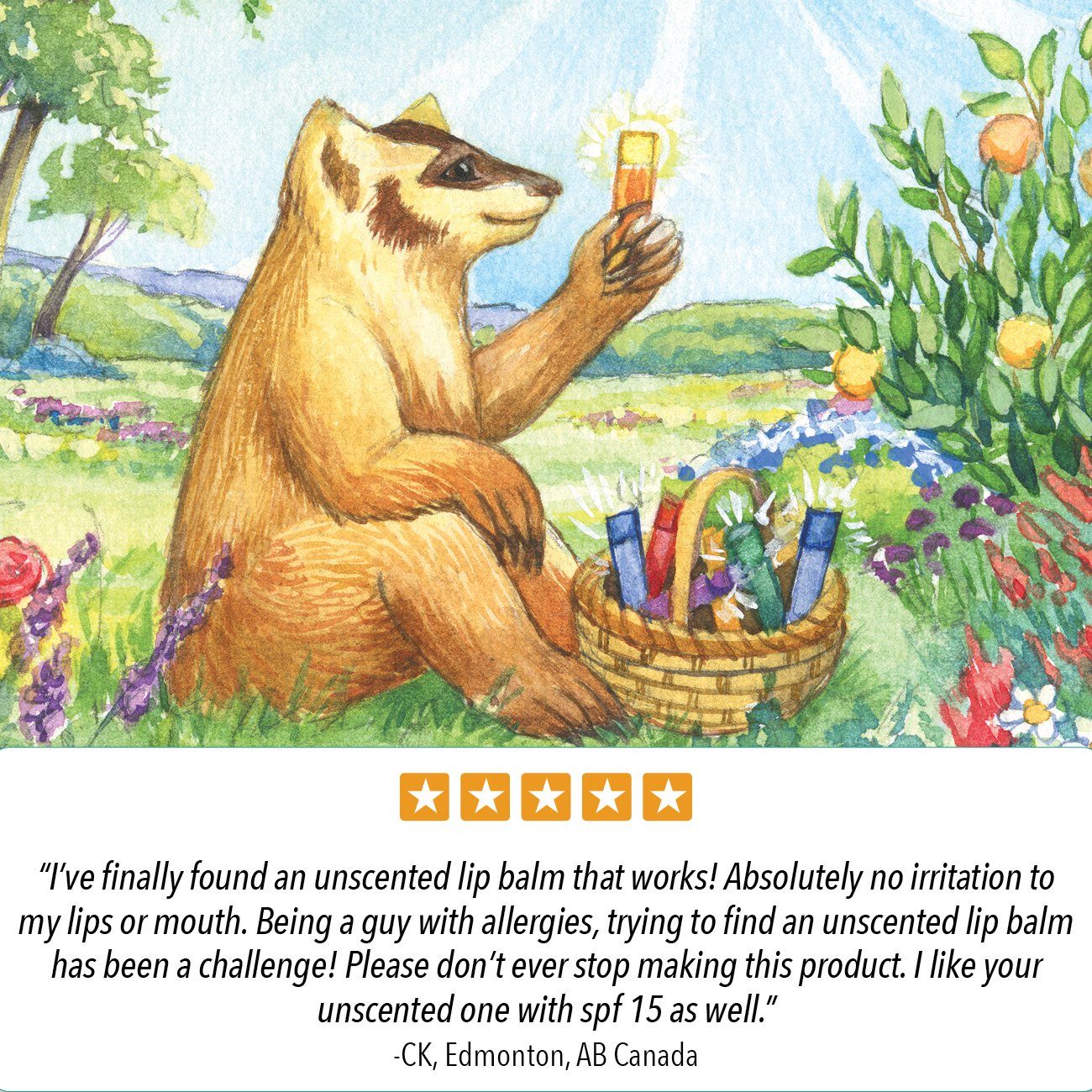Son dưỡng môi hữu cơ BADGER Lip Balm 4.2g
