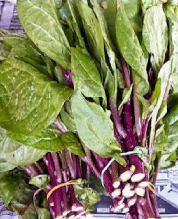 "Gói 5Gr Hạt " Hạt giống rau cải ngồng đỏ
