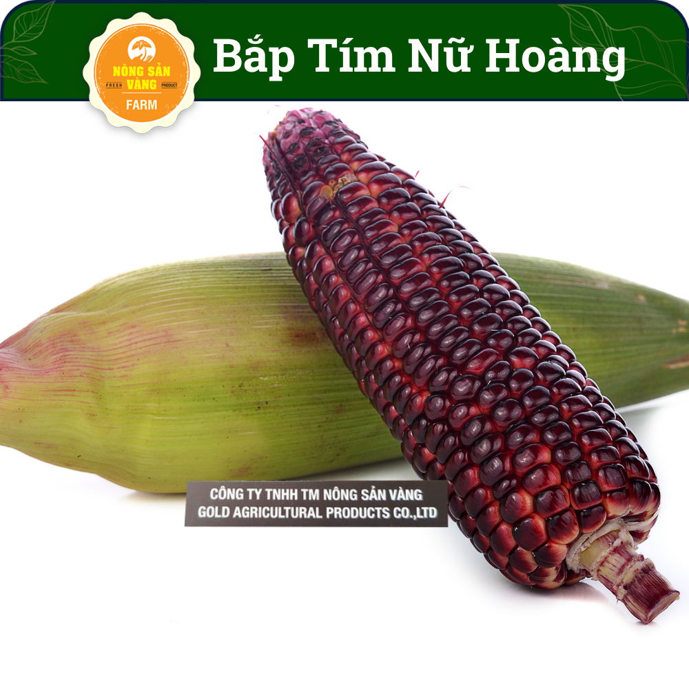 Queen sweet purple corn seeds purple corn multi-nutrition raw corn seeds-shallow yellow