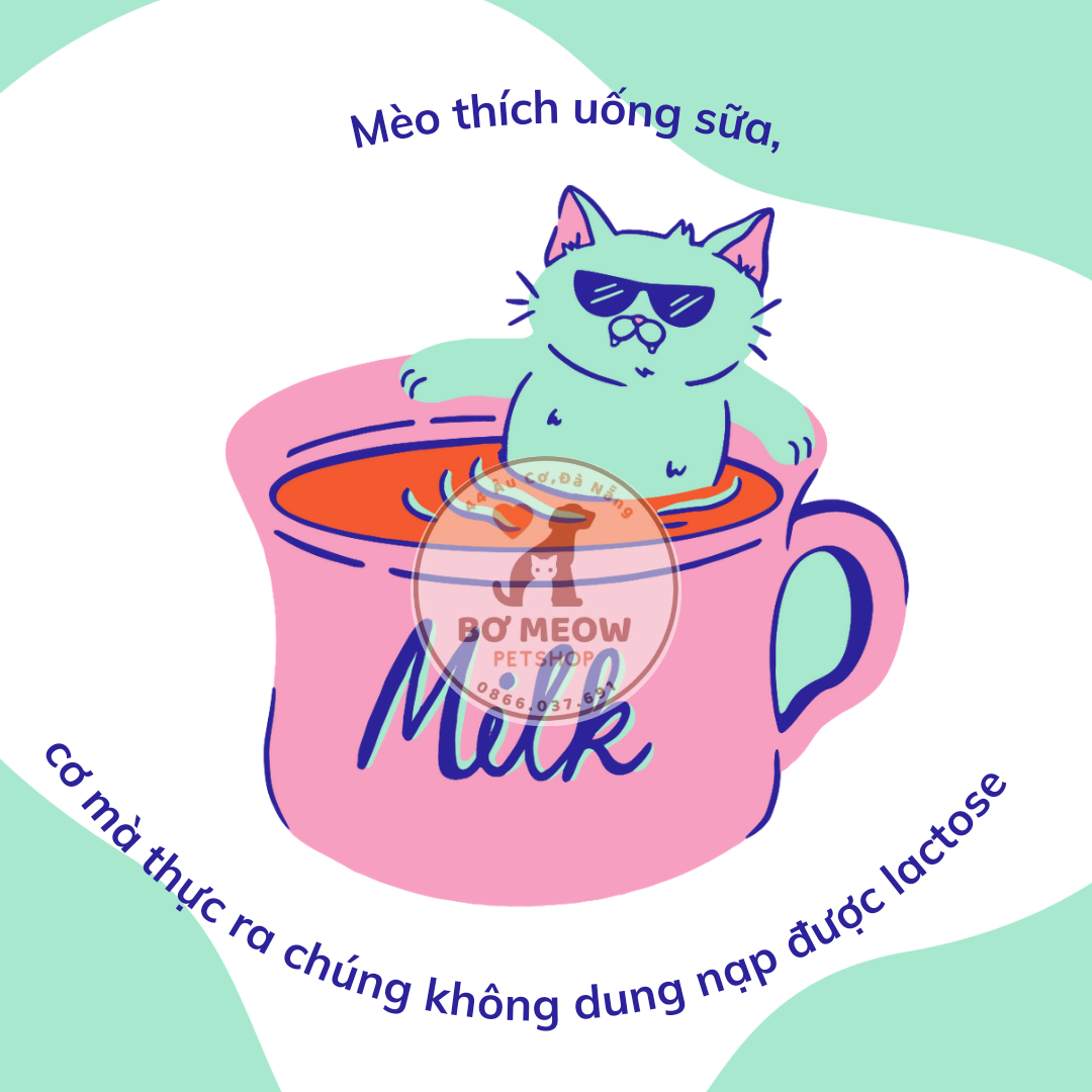 sữa chua dê monbab gói 50g cho chó mèo
