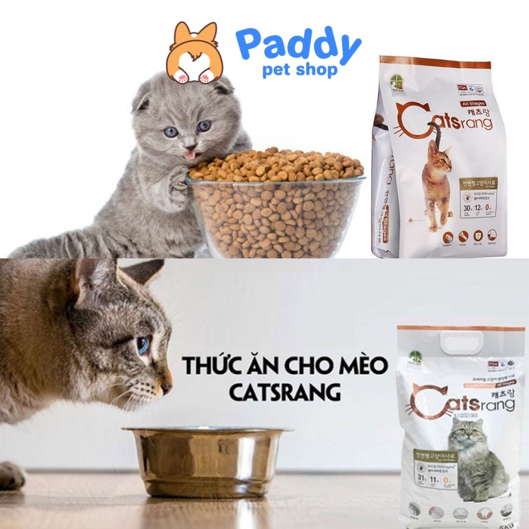Hạt Catsrang Cho Mèo Mọi Lứa Tuổi