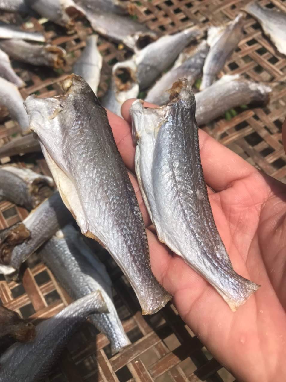 1KG KHÔ CÁ LÙ DÙ ĐẤT MŨI- VỰA KHÔ MINH TRIẾT