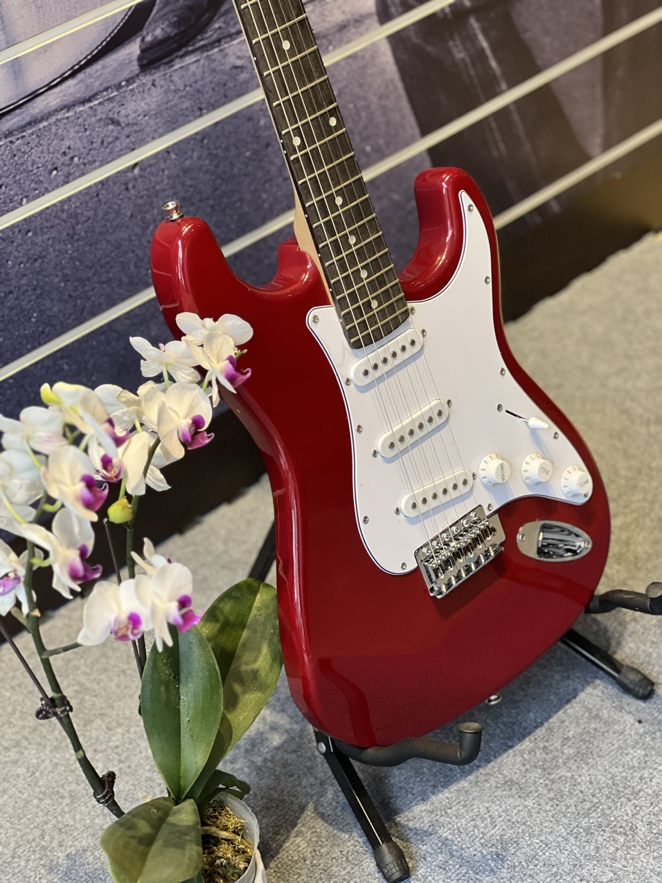 Đàn guitar điện cho người mới chơi-Hàng nhập khẩu