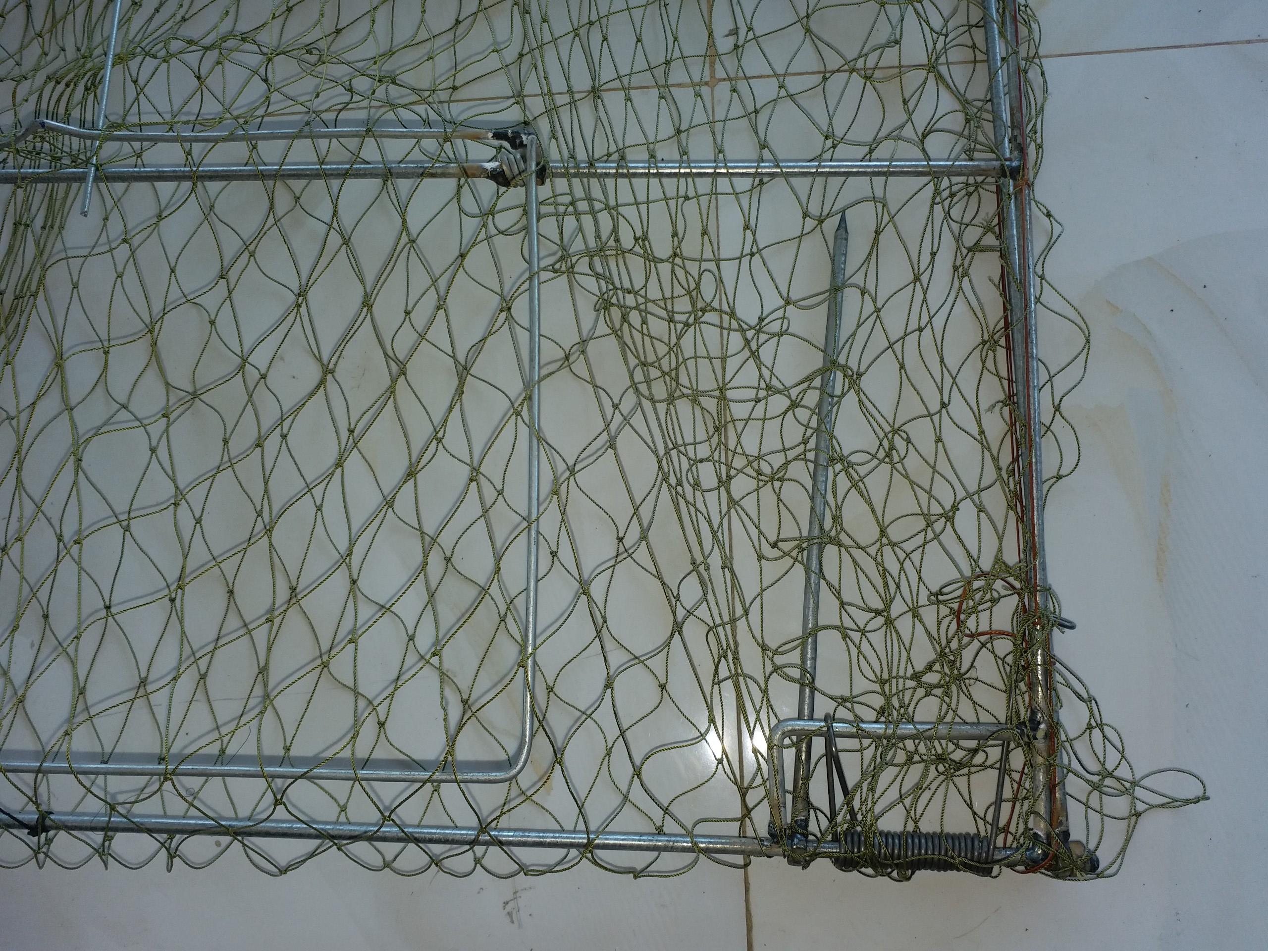 Mẹt vuông bẫy quốc bịp