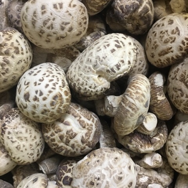 Nấm Đông Cô 100gr