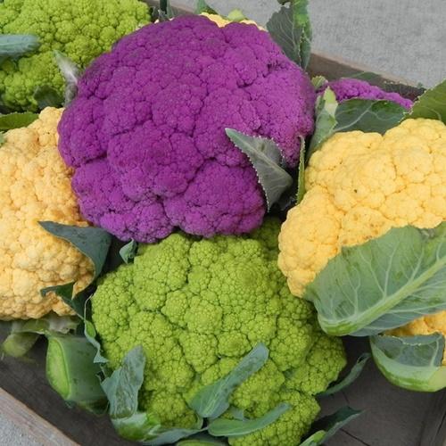 Hạt Giống Rau Súp Lơ Nhiều Màu F1. Túi 10 hạt - Giàu Dinh Dưỡng - Dễ Trồng .