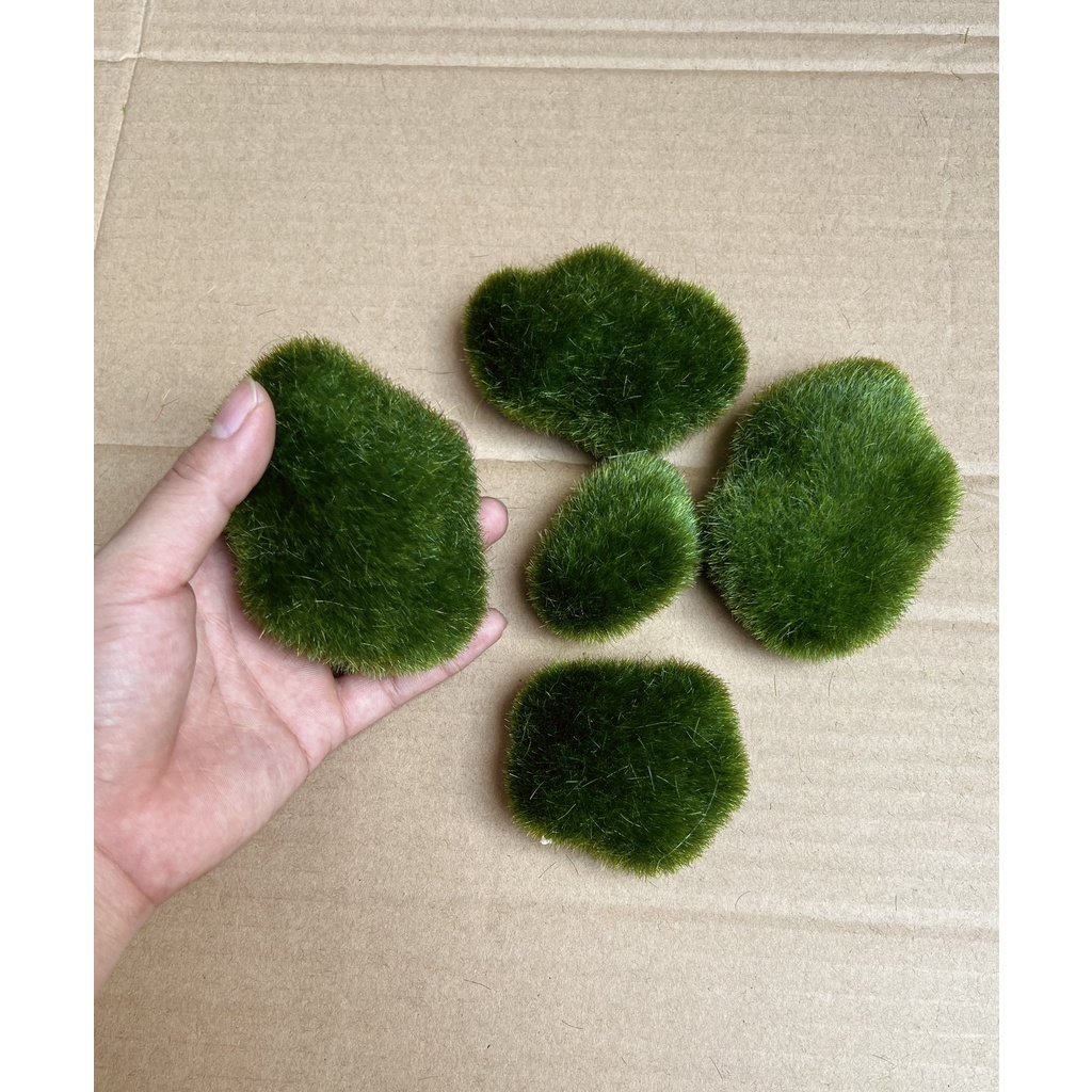 RÊU ĐÁ XỐP trang trí tiểu cảnh handmade