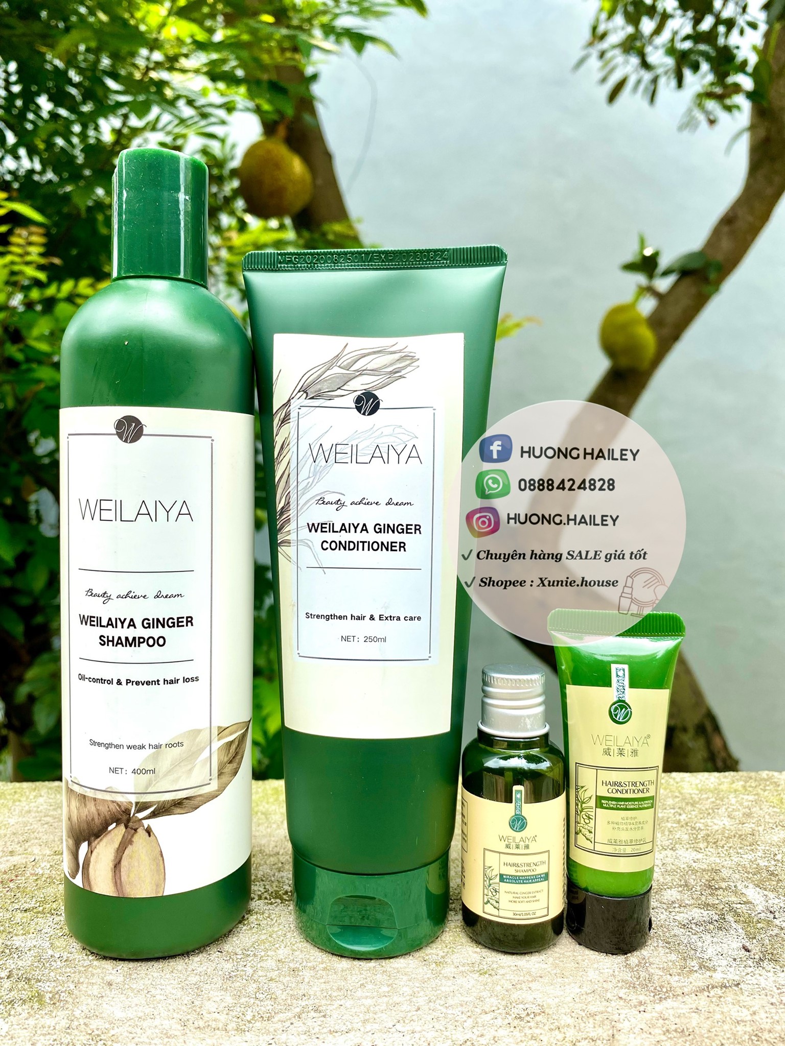 Dầu gội xả gừng Weilaiya