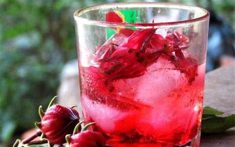 Gói 1g hạt giống atiso đỏ