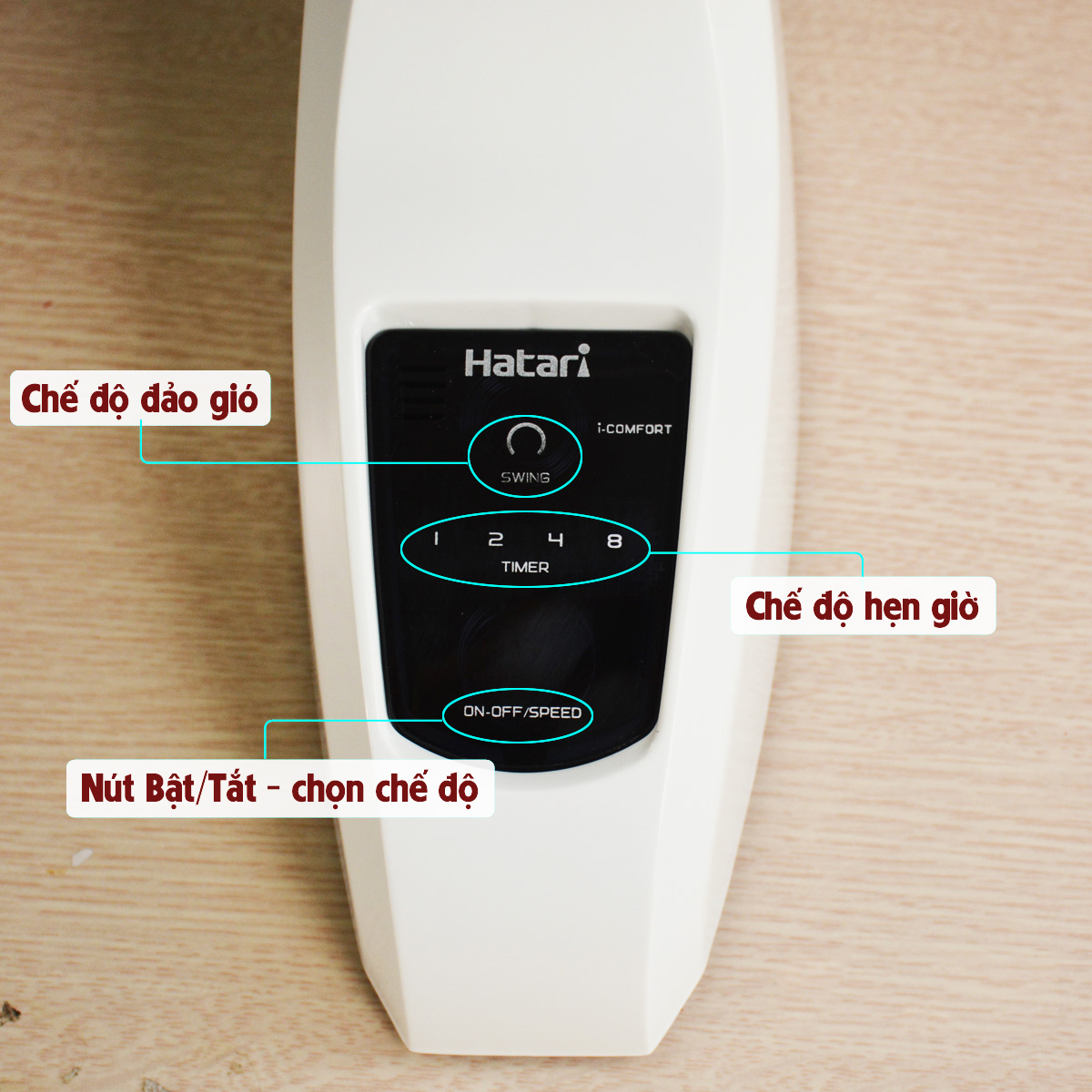 Quạt treo tường Hatari HTW16R6 Thái Lan