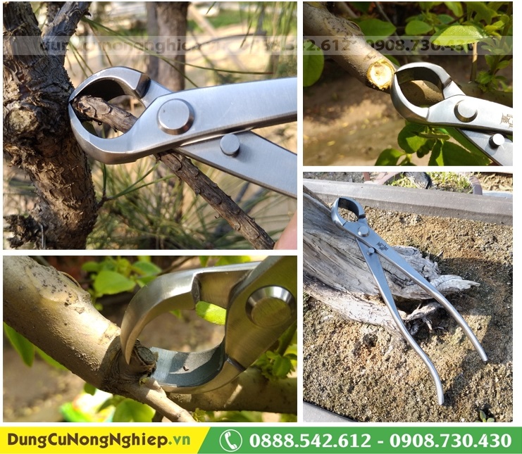 Kìm cạp tròn trắng bonsai MSTWA