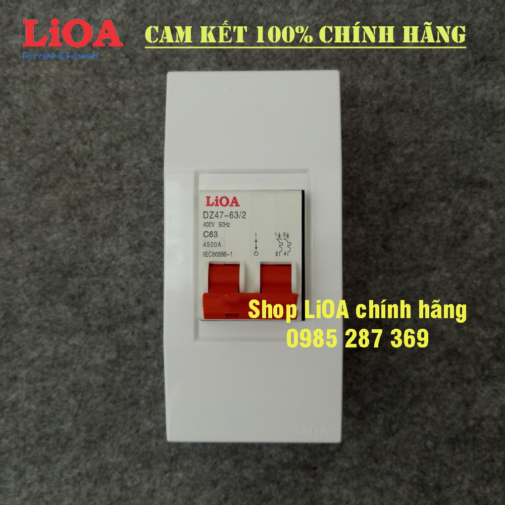 Combo cầu dao tự động (APTOMAT) LiOA loại 2 cực - Lắp nổi