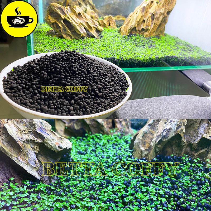 Phân Nền Thuỷ Sinh Gex Xanh -  Nhật Bản