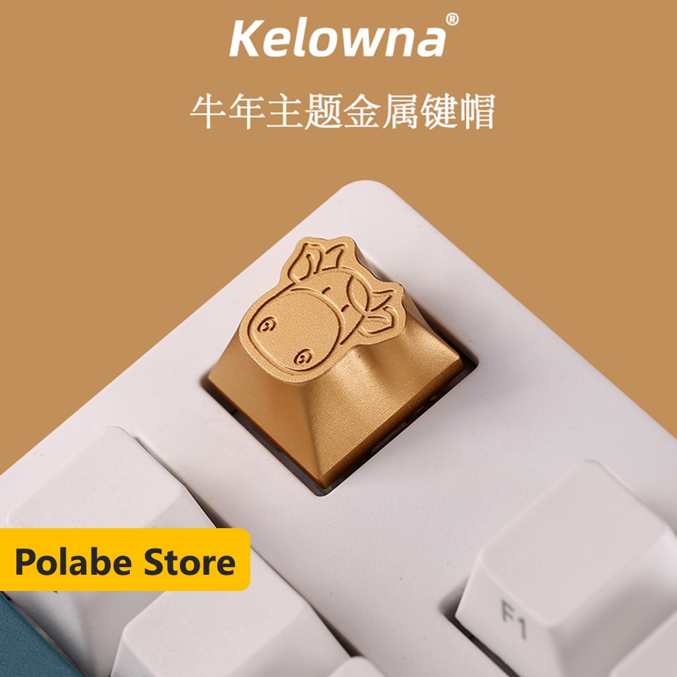 Keycap Akko ASA Pudding Blue Grape Profile dùng trên nhiều layout bàn phím cơ - Polabe Store