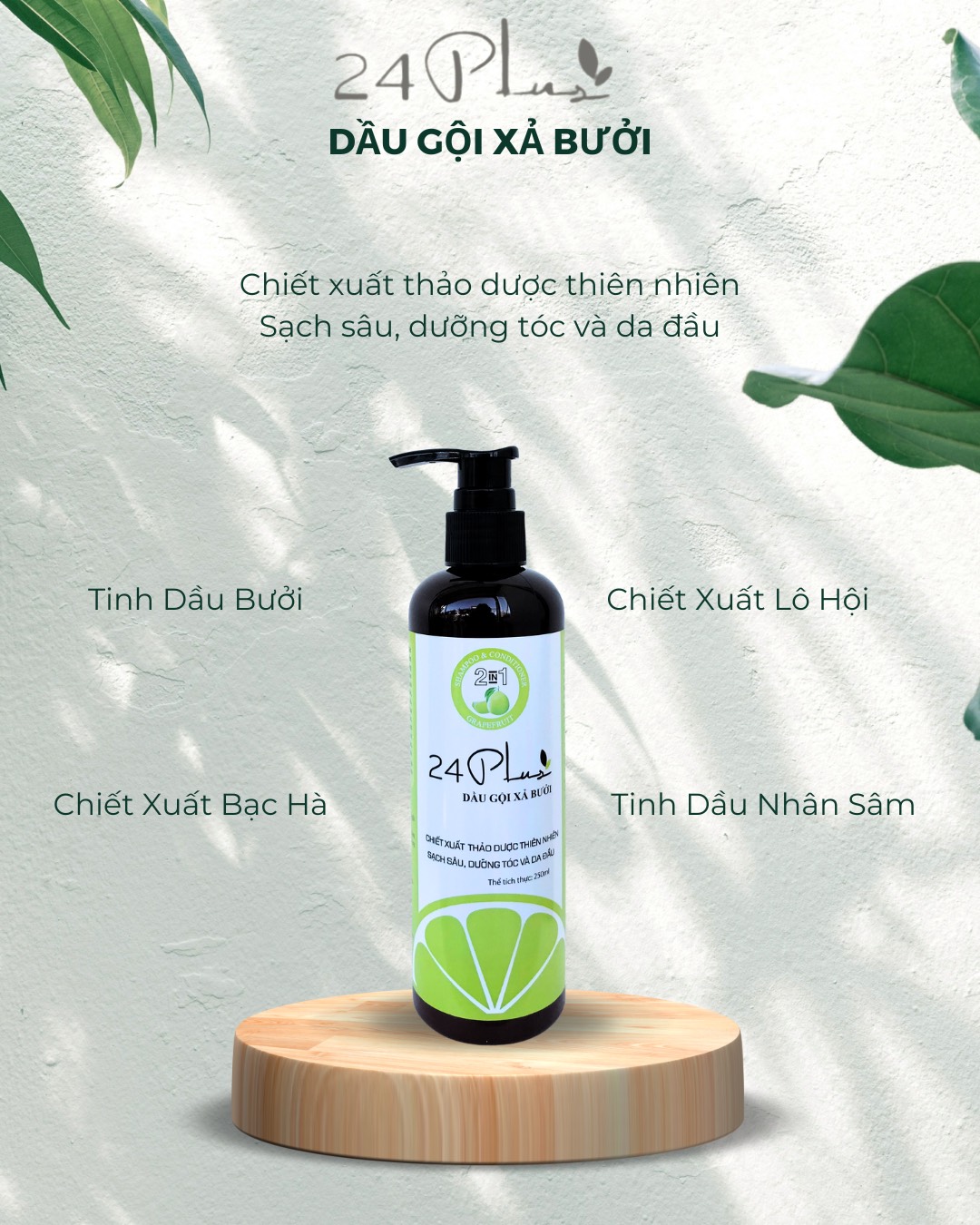 24PLUS - DẦU GỘI XẢ BƯỞI