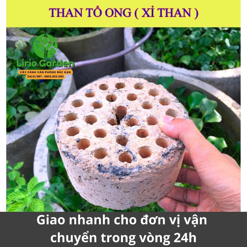 than tổ ong , xỉ than tổ ong