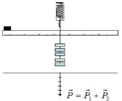 Bộ Lực Kế (0.1N, 1N, 2N, 3N, 5N)