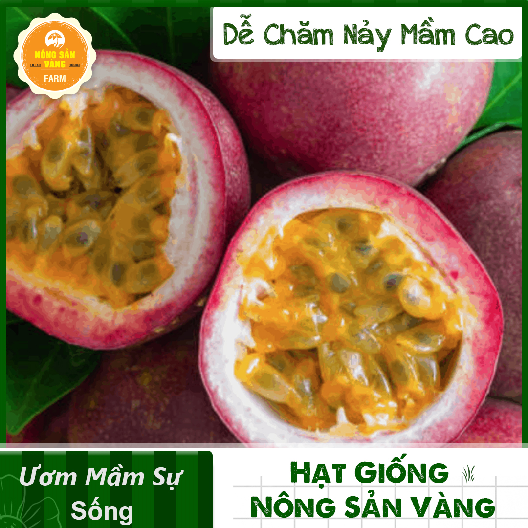 Hạt giống Chanh Leo (Chanh Dây) Thân Cây Trơn, Bò Leo, Có Ít Lông Tơ Và Nhiều Tua Cuốn, Thích Hợp Cho Hiên Nhà Của Bạn (Gói 50 Hạt) - Nông Sản Vàng