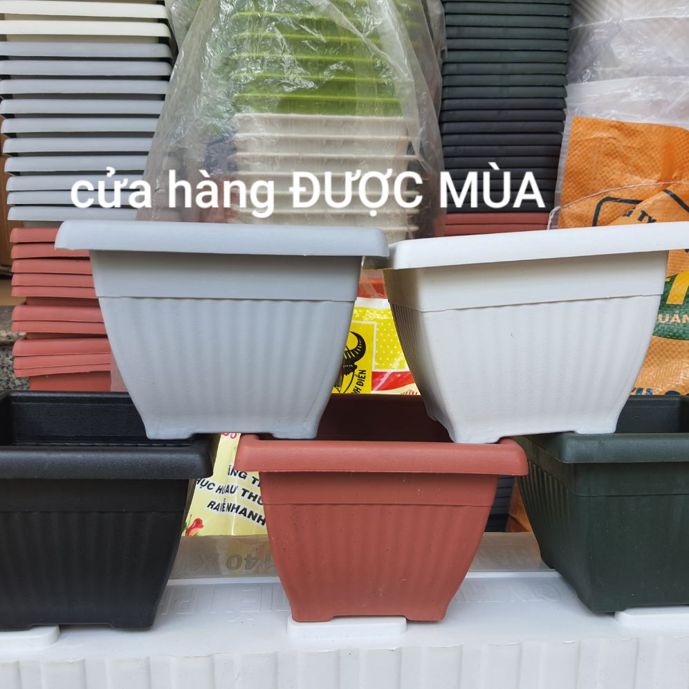 bán sỉ combo 10 chậu vuông nhật 13x10cm nhựa dày tốt.