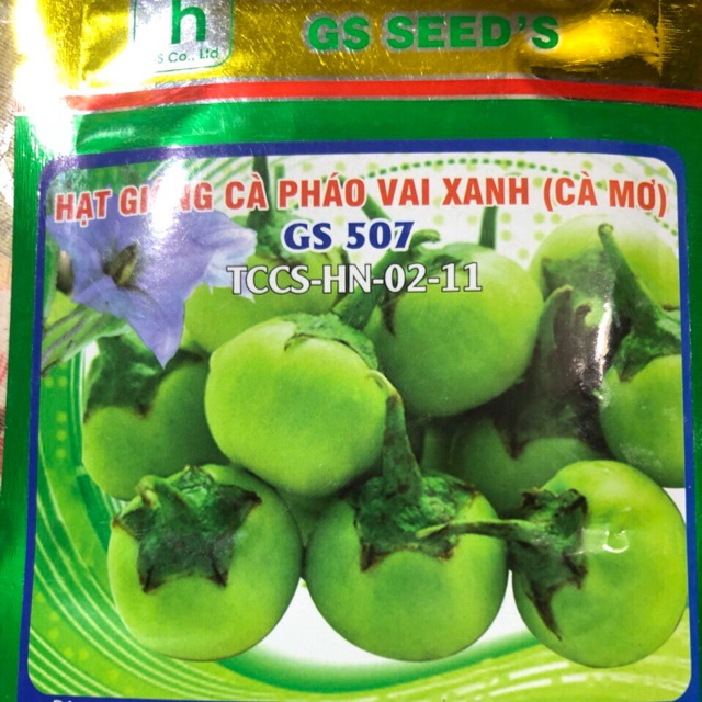 HẠT GIỐNG CÀ PHÁO XANH