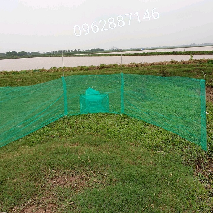 đăng chặn sông dớn bắt cá lưới bắt cá 6m đến 8m