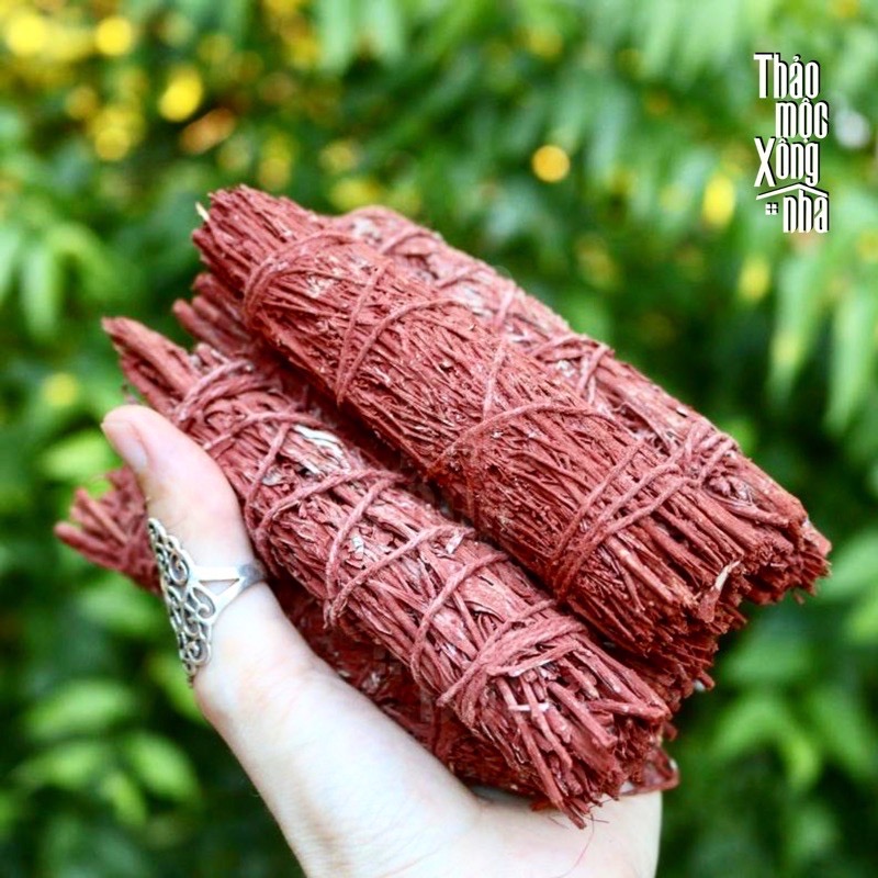XÔ THƠM ĐỎ (Red Sage) - THẢO MỘC XÔNG NHÀ