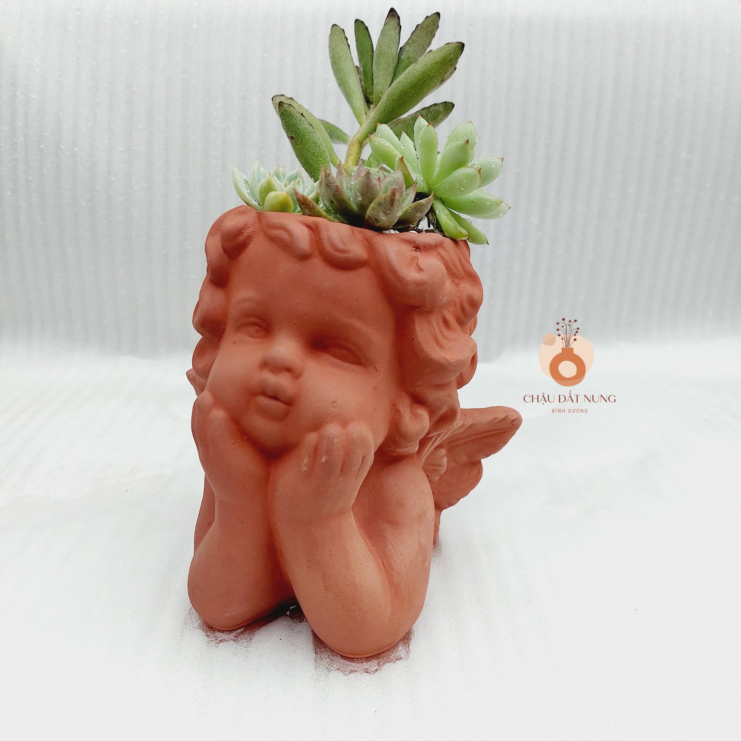 Chậu đất nung Bình Dương - Thiên Thần 817, đường kính miệng 8cm, chiều cao 17cm