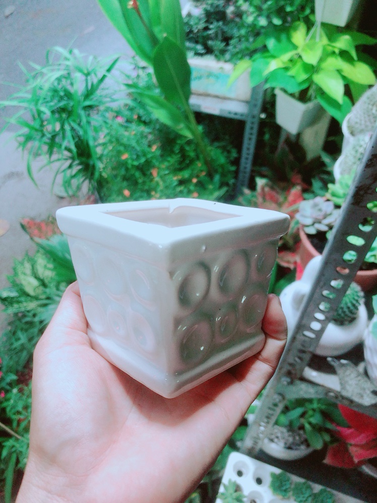 Chậu Trồng Cây (cao 7cm, ngang 7cm)