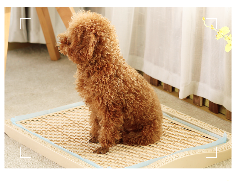 [LẺ 10 CÁI - SIZE S] TÃ GIẤY ĐỂ CHUỒNG CHO THÚ CƯNG - MADDIE PETSTORE