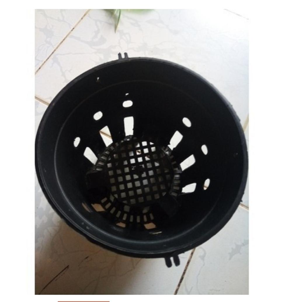 10 Chậu nhựa trồng lan phi 21