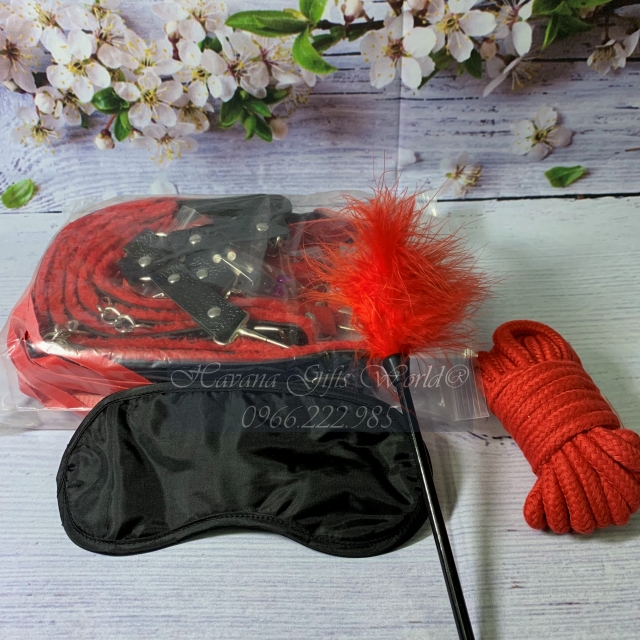 Vòng Cổ Chocker - Đồ Chơi Nhập Vai Cho Cặp Đôi 10 Chi Tiết