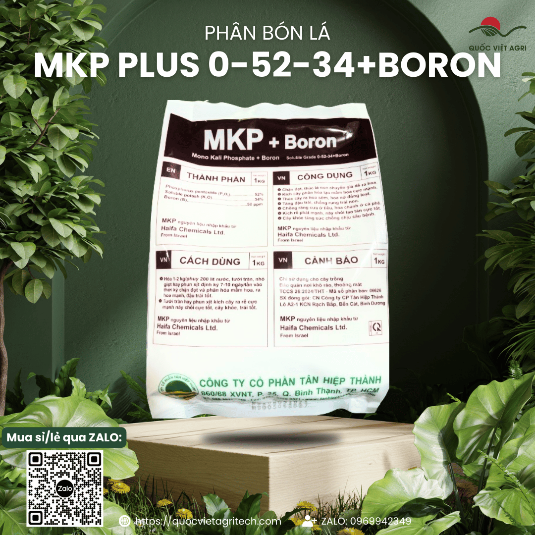 Foliar Fertilizer Mkp Haifa Plus 0-52-34 (1kg Package) - Imported from Israel, Super Promotes Flower Germination, Large Fruit, Large Fruit Size, Inhibits Bud Growth, Promotes Flowering