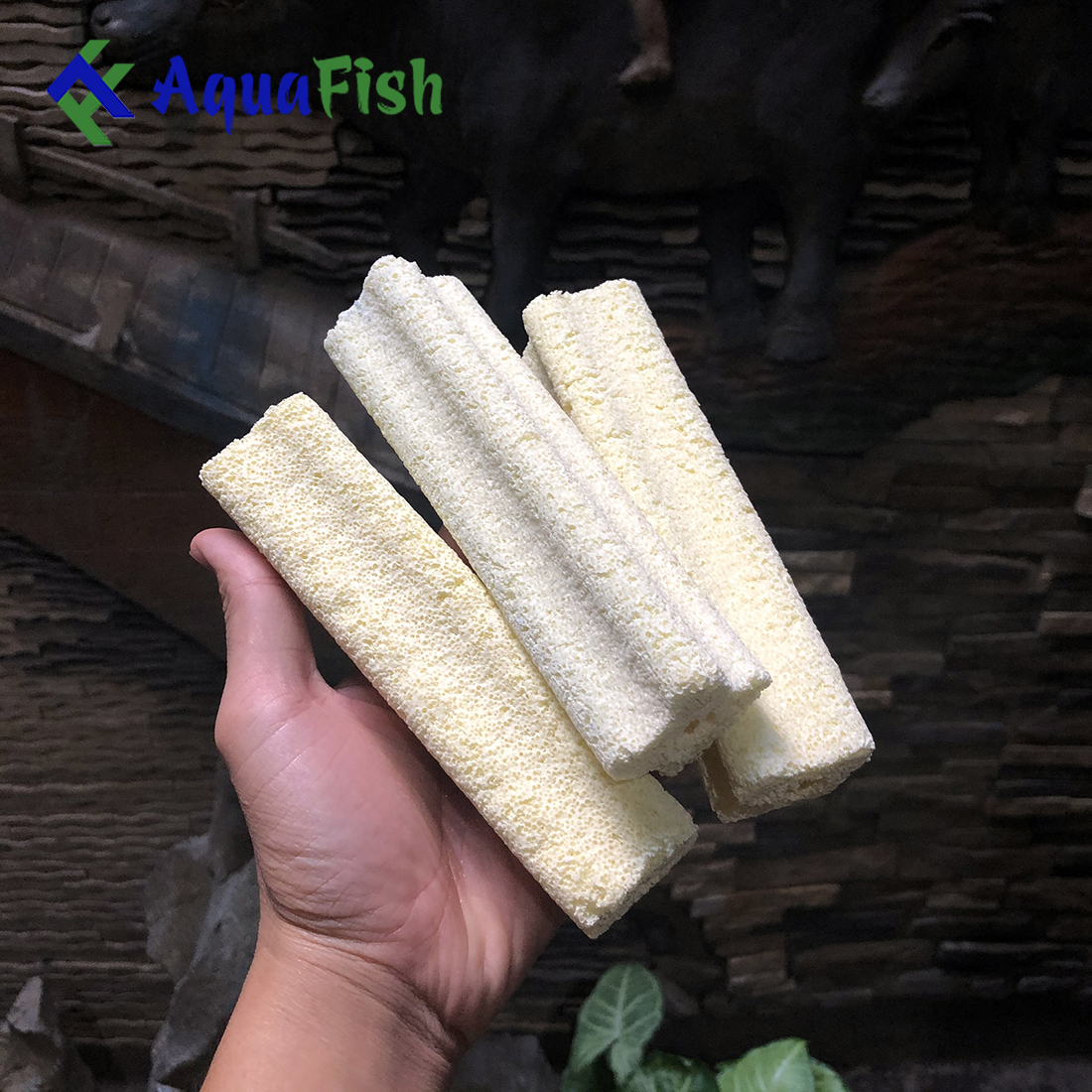 [HOÀN TIỀN 10%]Combo 10 Sứ Thanh Hoa Mai Giúp Lọc Nước Bể Cá, Hồ Cá