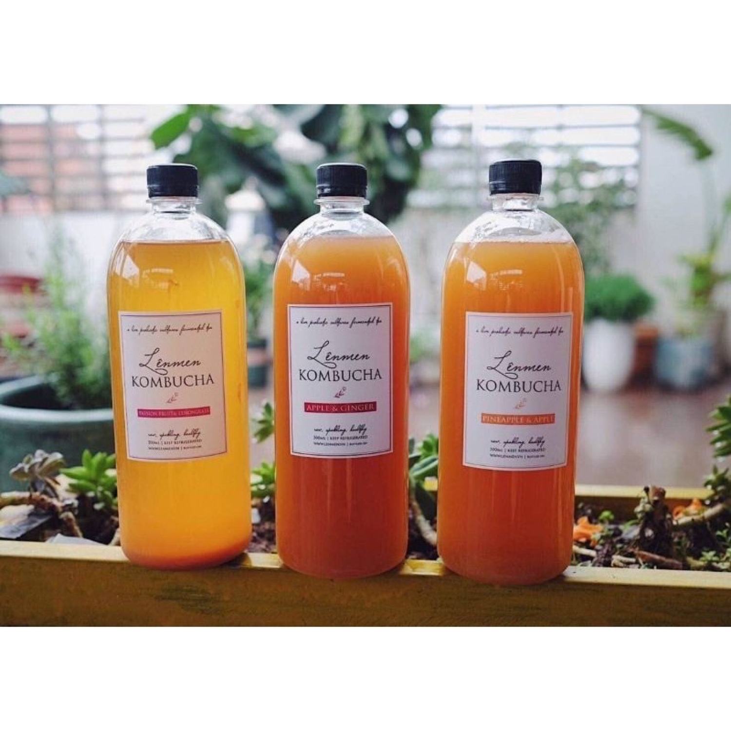 Chai Nhựa Đựng Trà Sữa 1L Dày Dặn