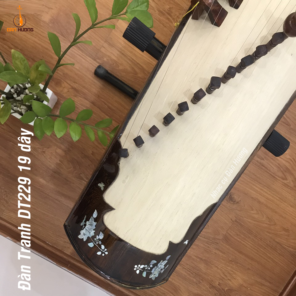 ĐÀN TRANH 19 DÂY DT229