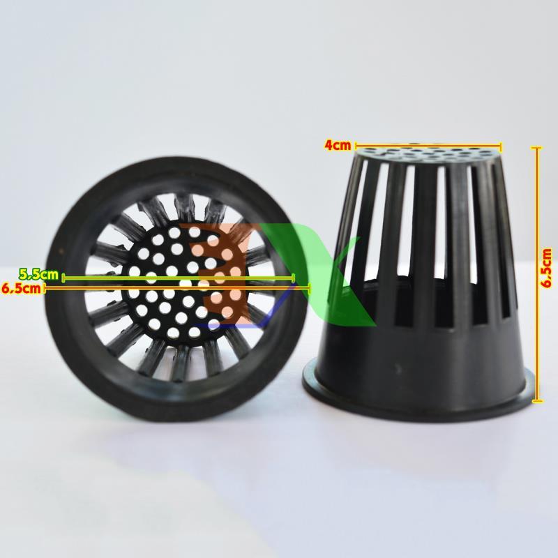 Set 100 gabion hydroponic growing D57, gabion plastic hydroponic, Cup planting hydroponic vegetables, gabion đựng price can hydroponic