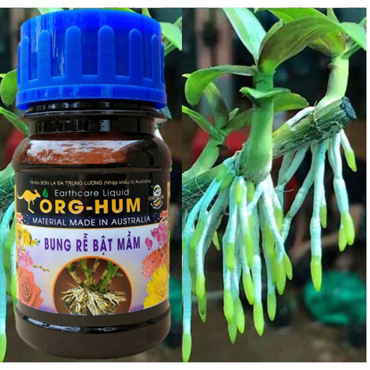 Phân bón lá dạng nước ORG - HUM thay thế Humic 322, dạng nước 100ml