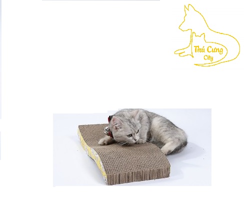 Bàn cào cho mèo sóng lớn - size lớn