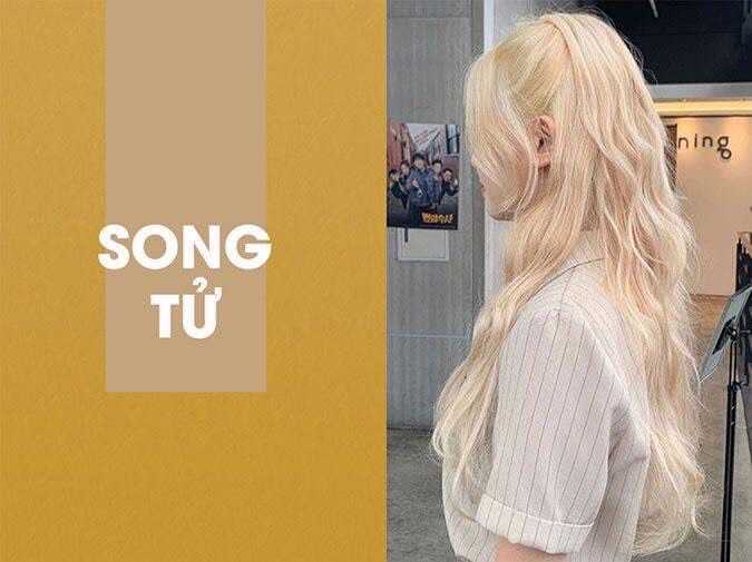 Combo White Hair Dye Platinum + Oxygen