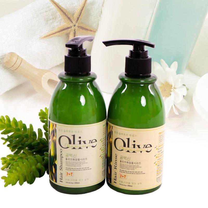 Bộ dầu gội và dầu xả Olive 250ml cho tóc óng mượt cao cấp
