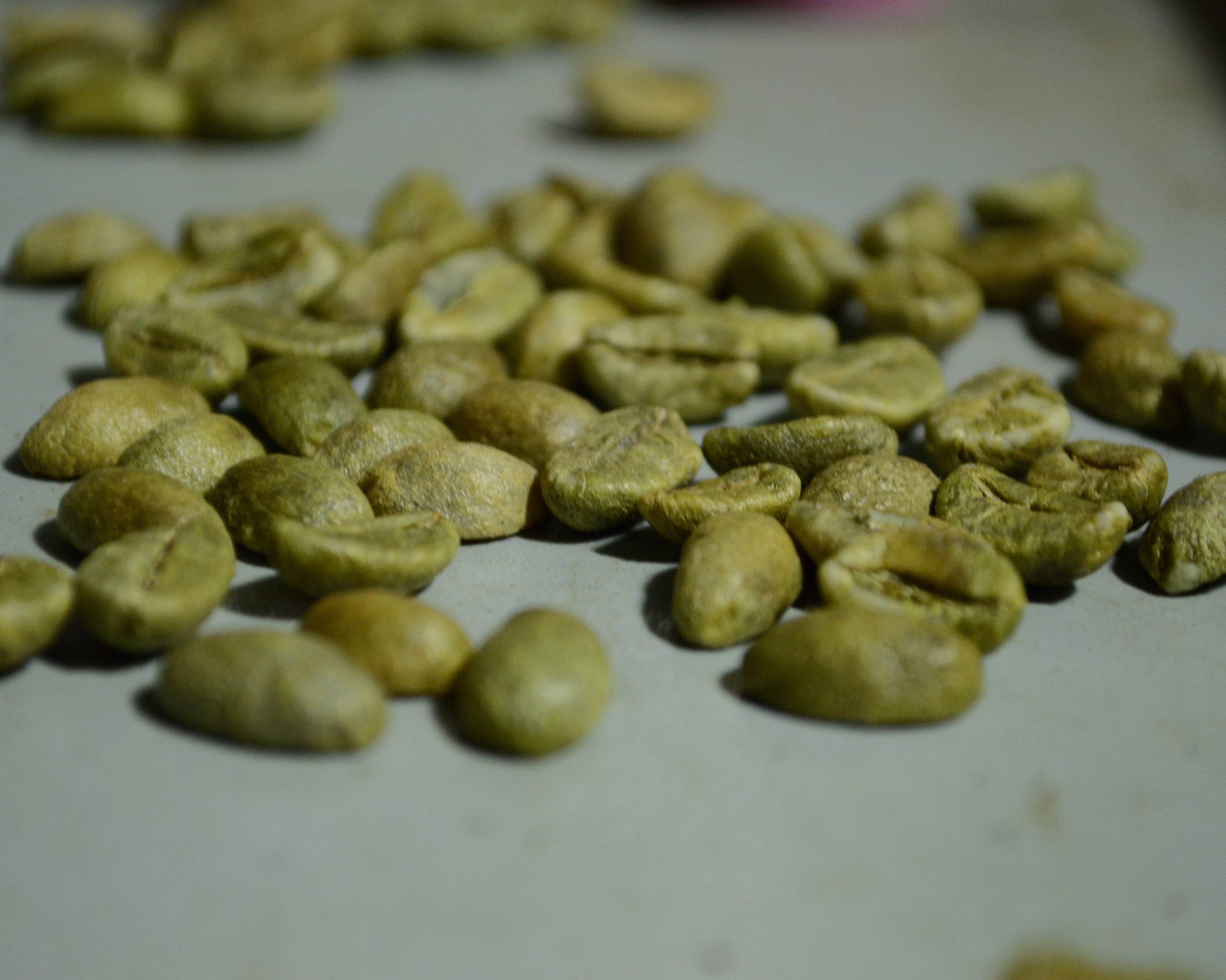 Coffee beans (green bean)